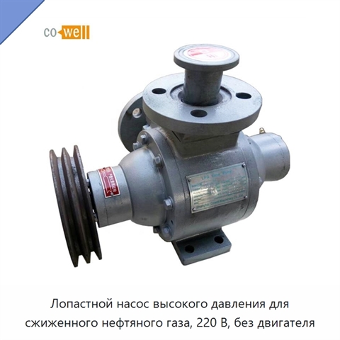 Лопастной насос высокого давления для сжиженного нефтяного газа, 220 В, без двигателя