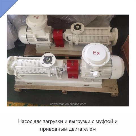 Насос для загрузки и выгрузки с муфтой и приводным двигателем