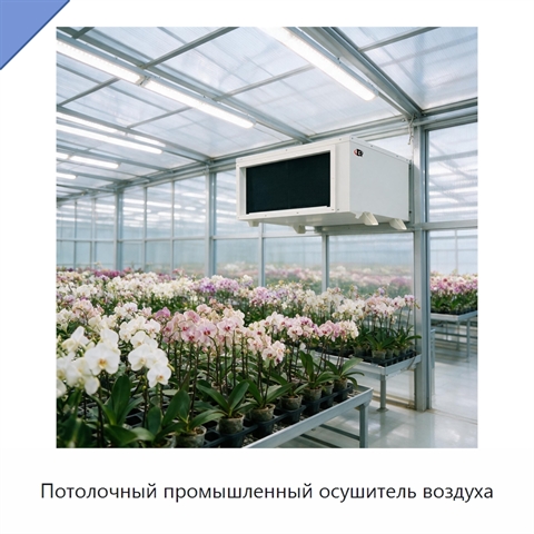 Потолочный промышленный осушитель воздуха