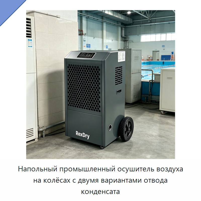 Напольный промышленный осушитель воздуха на колёсах с двумя вариантами отвода конденсата — Воздухоочистительное оборудование