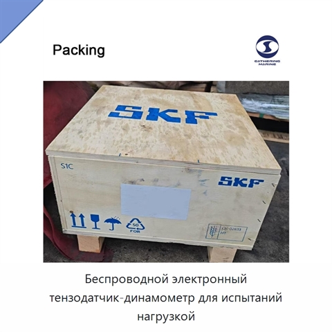Беспроводной электронный тензодатчик-динамометр для испытаний нагрузкой