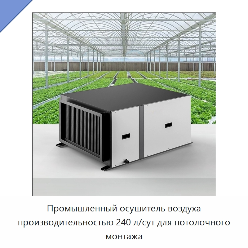 Промышленный осушитель воздуха производительностью 240 л/сут для потолочного монтажа — Воздухоочистительное оборудование