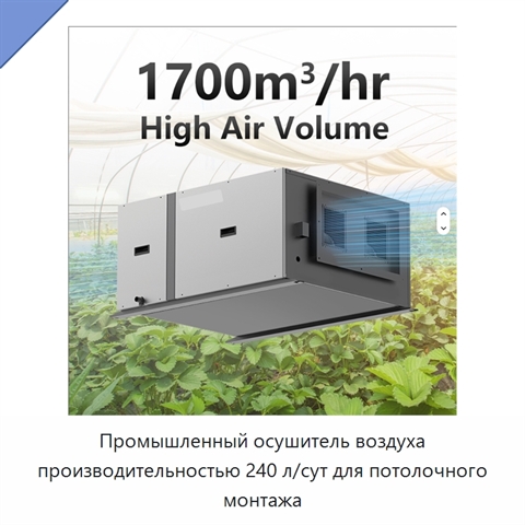 Промышленный осушитель воздуха производительностью 240 л/сут для потолочного монтажа
