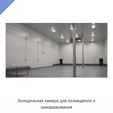 Холодильная камера для охлаждения и замораживания