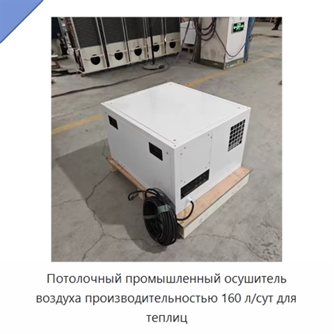 Потолочный промышленный осушитель воздуха производительностью 160 л/сут для теплиц