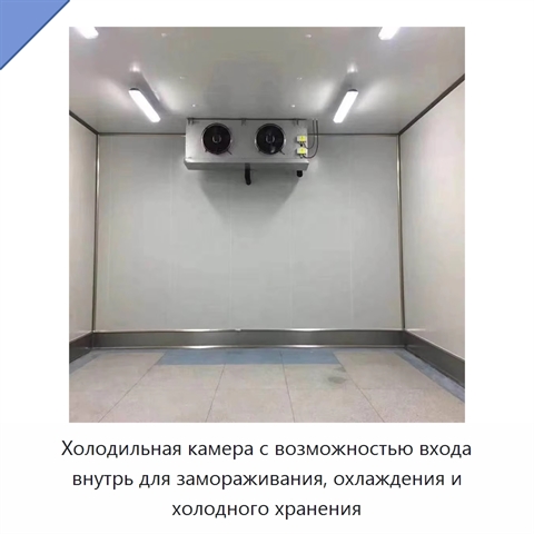 Холодильная камера с возможностью входа внутрь для замораживания, охлаждения и холодного хранения