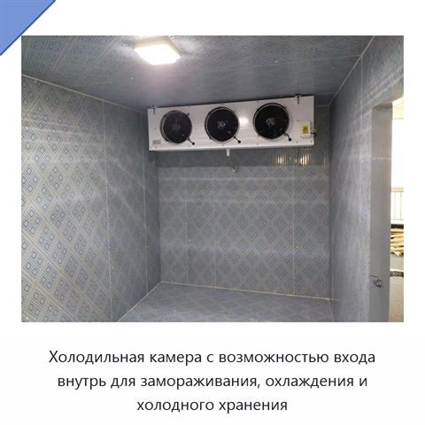 Холодильная камера с возможностью входа внутрь для замораживания, охлаждения и холодного хранения