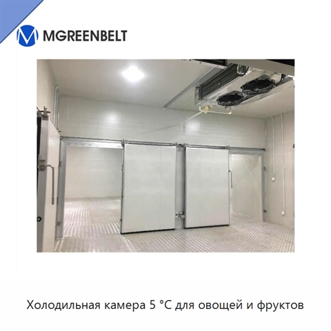 Холодильная камера 5 °C для овощей и фруктов