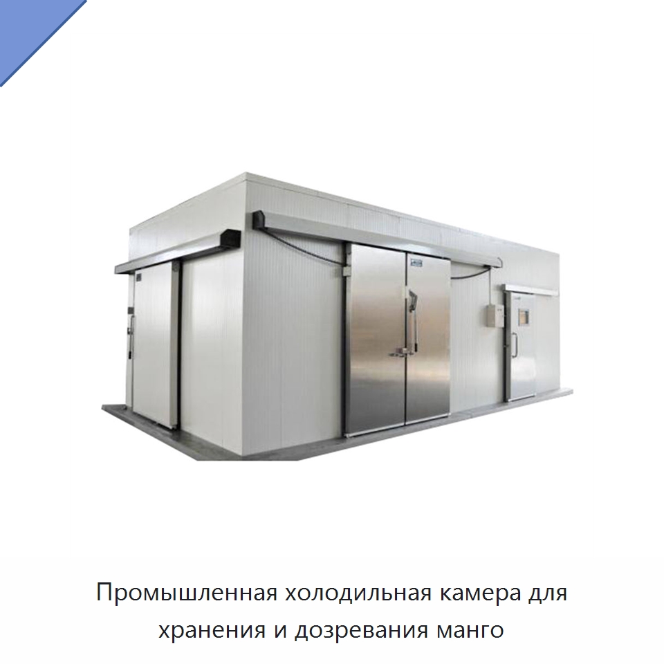 Промышленная холодильная камера для хранения и дозревания манго — Холодильные камеры