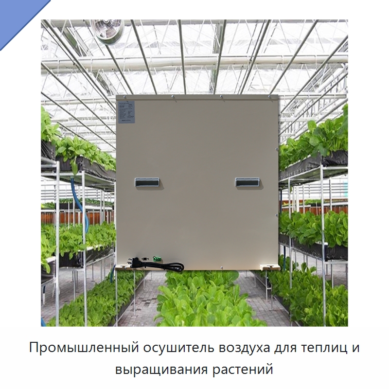 Промышленный осушитель воздуха для теплиц и выращивания растений — Воздухоочистительное оборудование