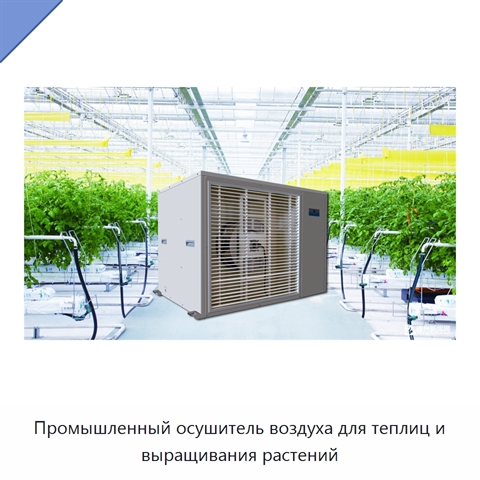Промышленный осушитель воздуха для теплиц и выращивания растений