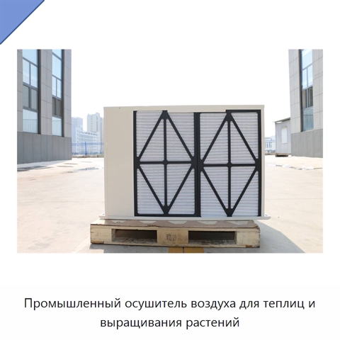 Промышленный осушитель воздуха для теплиц и выращивания растений
