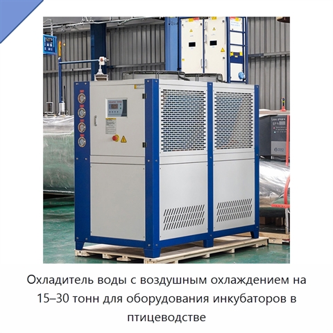 Охладитель воды с воздушным охлаждением на 15–30 тонн для оборудования инкубаторов в птицеводстве