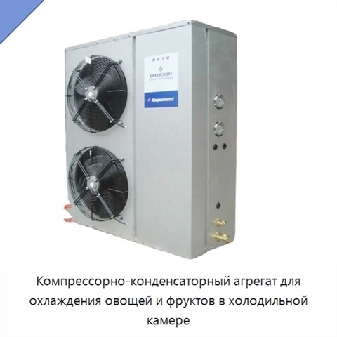 Компрессорно-конденсаторный агрегат для охлаждения овощей и фруктов в холодильной камере