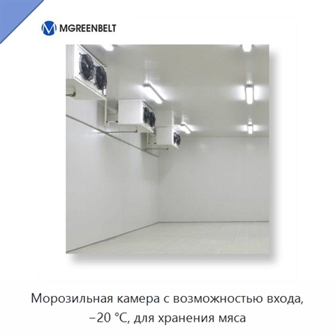 Морозильная камера с возможностью входа, −20 °С, для хранения мяса