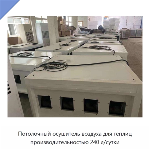 Потолочный осушитель воздуха для теплиц производительностью 240 л/сутки