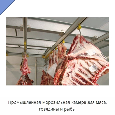 Промышленная морозильная камера для мяса, говядины и рыбы