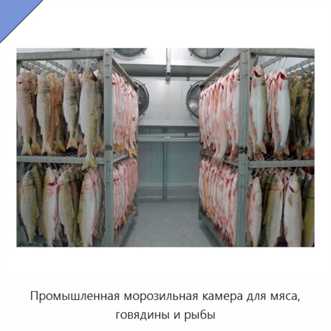 Промышленная морозильная камера для мяса, говядины и рыбы