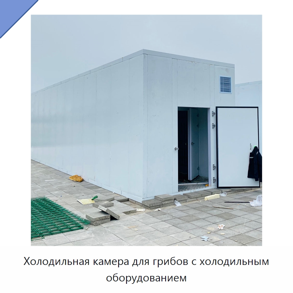 Холодильная камера для грибов с холодильным оборудованием — Холодильные камеры