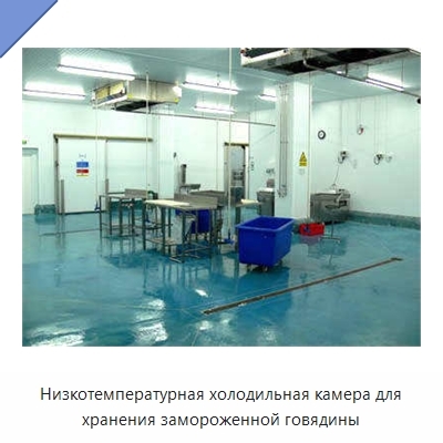 Низкотемпературная холодильная камера для хранения замороженной говядины