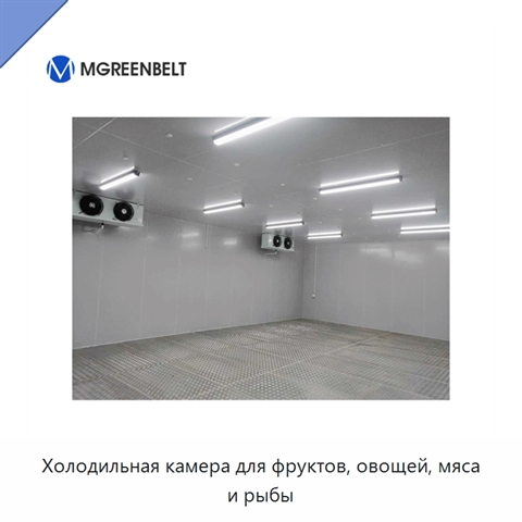 Холодильная камера для фруктов, овощей, мяса и рыбы