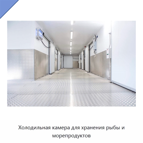 Холодильная камера для хранения рыбы и морепродуктов