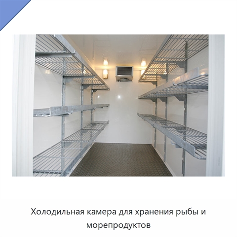 Холодильная камера для хранения рыбы и морепродуктов