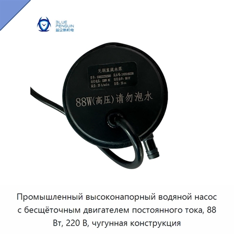 Промышленный высоконапорный водяной насос с бесщёточным двигателем постоянного тока, 88 Вт, 220 В, чугунная конструкция