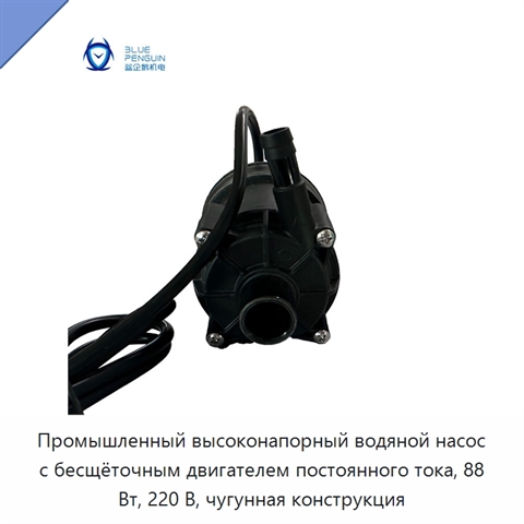 Промышленный высоконапорный водяной насос с бесщёточным двигателем постоянного тока, 88 Вт, 220 В, чугунная конструкция