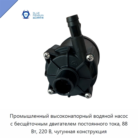 Промышленный высоконапорный водяной насос с бесщёточным двигателем постоянного тока, 88 Вт, 220 В, чугунная конструкция