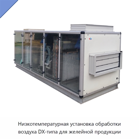 Низкотемпературная установка обработки воздуха DX-типа для желейной продукции