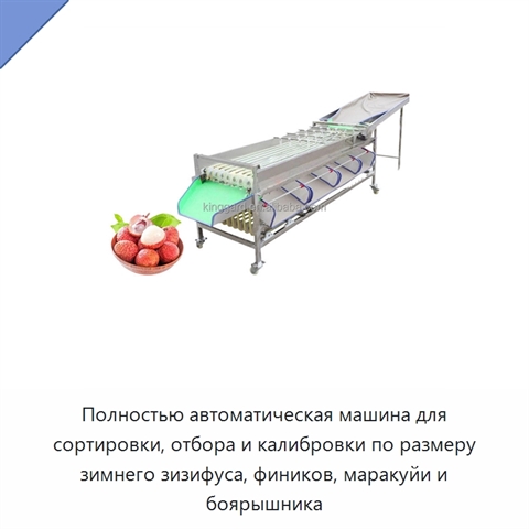 Полностью автоматическая машина для сортировки, отбора и калибровки по размеру зимнего зизифуса, фиников, маракуйи и боярышника