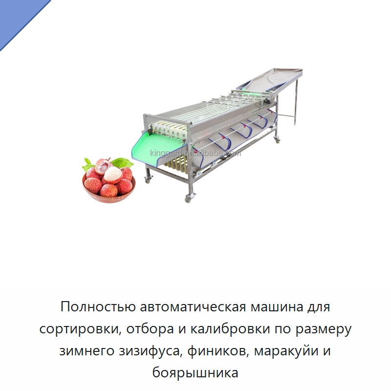 Полностью автоматическая машина для сортировки, отбора и калибровки по размеру зимнего зизифуса, фиников, маракуйи и боярышника — Оборудование для переработки фруктов и овощей
