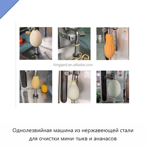 Однолезвийная машина из нержавеющей стали для очистки мини-тыкв и ананасов