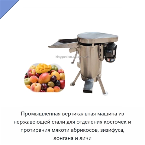 Промышленная вертикальная машина из нержавеющей стали для отделения косточек и протирания мякоти абрикосов, зизифуса, лонгана и личи