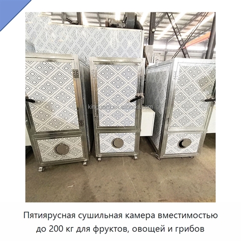 Пятиярусная сушильная камера вместимостью до 200 кг для фруктов, овощей и грибов