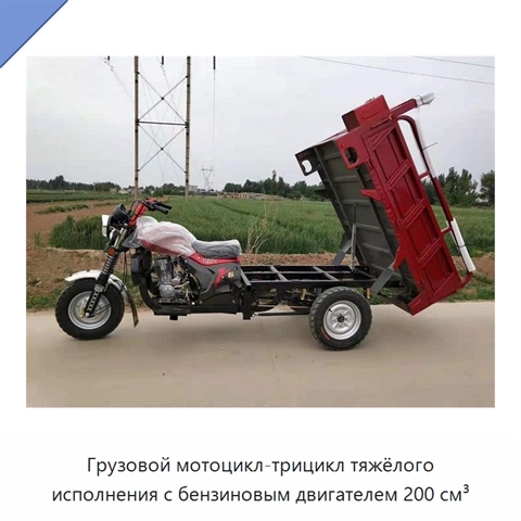 Грузовой мотоцикл-трицикл тяжёлого исполнения с бензиновым двигателем 200 см³