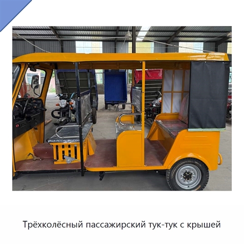 Трёхколёсный пассажирский тук-тук с крышей