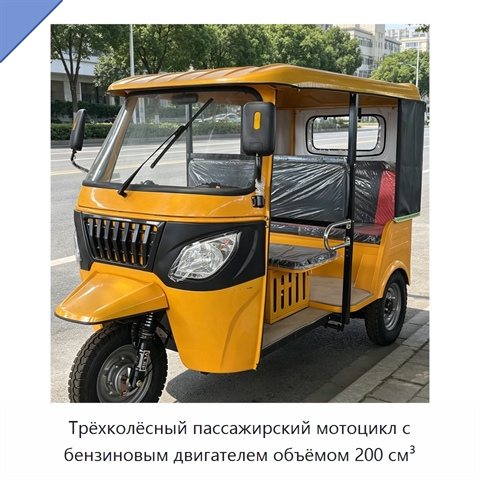 Трёхколёсный пассажирский мотоцикл с бензиновым двигателем объёмом 200 см³