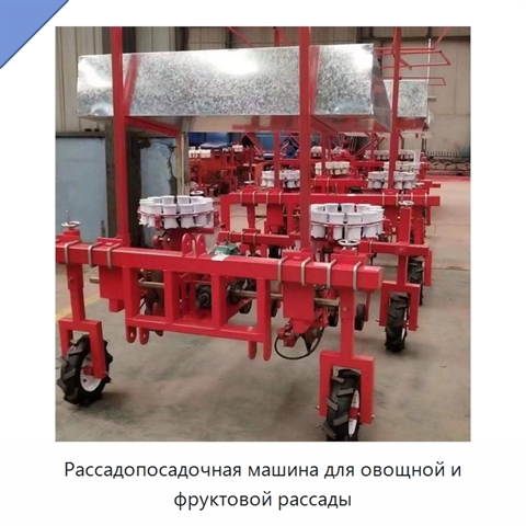 Рассадопосадочная машина для овощной и фруктовой рассады