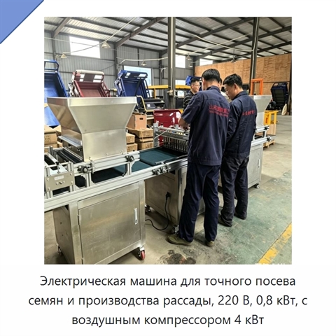 Электрическая машина для точного посева семян и производства рассады, 220 В, 0,8 кВт, с воздушным компрессором 4 кВт