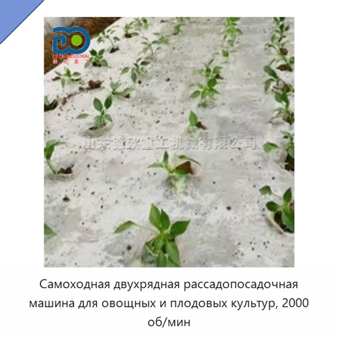 Самоходная двухрядная рассадопосадочная машина для овощных и плодовых культур, 2000 об/мин