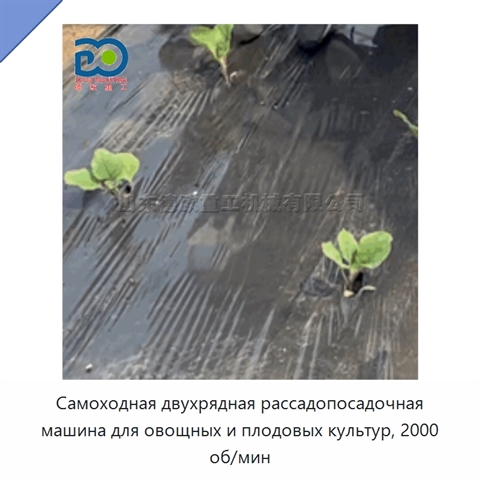 Самоходная двухрядная рассадопосадочная машина для овощных и плодовых культур, 2000 об/мин