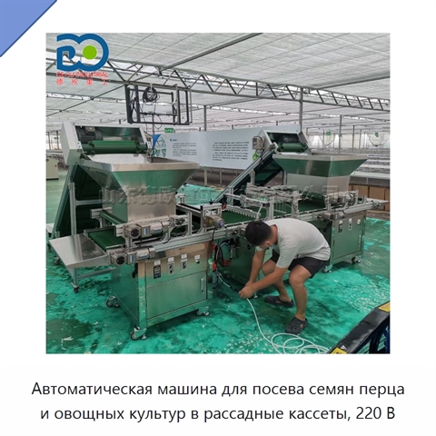 Автоматическая машина для посева семян перца и овощных культур в рассадные кассеты, 220 В