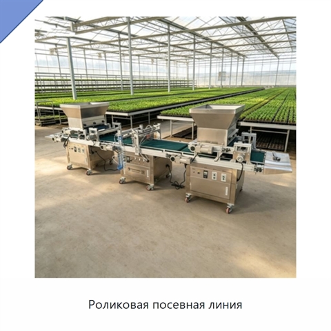 Роликовая посевная линия