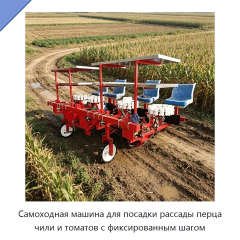 Самоходная машина для посадки рассады перца чили и томатов с фиксированным шагом