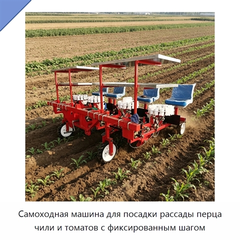Самоходная машина для посадки рассады перца чили и томатов с фиксированным шагом