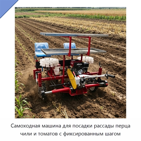 Самоходная машина для посадки рассады перца чили и томатов с фиксированным шагом