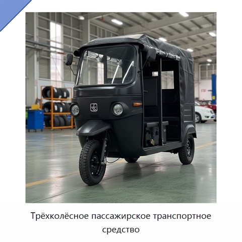 Трёхколёсное пассажирское транспортное средство