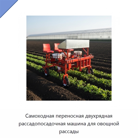 Самоходная переносная двухрядная рассадопосадочная машина для овощной рассады